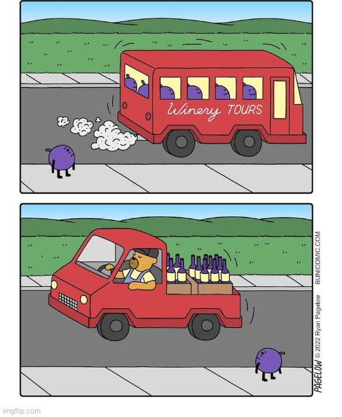 Victims of the wine industry | image tagged in comics,buni comics,grapes,winery,turned into wine,sad | made w/ Imgflip meme maker