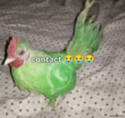 Contact | image tagged in contact | made w/ Imgflip meme maker