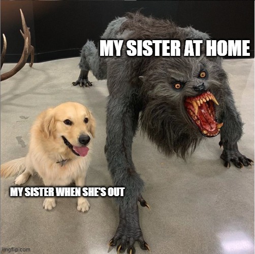 Is this not true? | My sister at home; My sister when she's out | image tagged in dog vs werewolf | made w/ Imgflip meme maker
