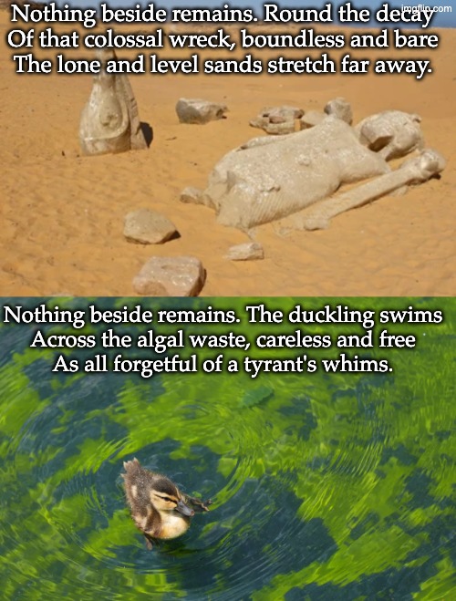 How's that pool reno working out for you, Ozymandias? | Nothing beside remains. Round the decay
Of that colossal wreck, boundless and bare
The lone and level sands stretch far away. Nothing beside remains. The duckling swims
Across the algal waste, careless and free
As all forgetful of a tyrant's whims. | image tagged in poem,quote,waste,tyrant,trump,idiocracy | made w/ Imgflip meme maker