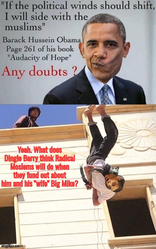 Free flying lessons for Dingle Barry | image tagged in aufr7i jpg,radical islam,intolerance,obama | made w/ Imgflip meme maker