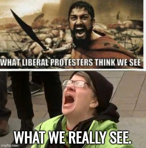 What we really see | What we really see. | image tagged in img 2 png,crying liberal | made w/ Imgflip meme maker