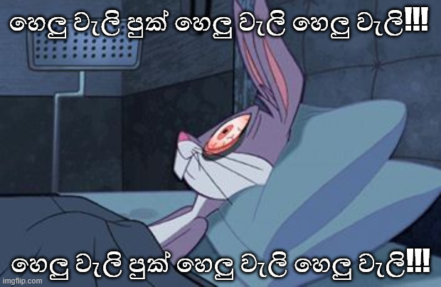 aug39d.jpg
