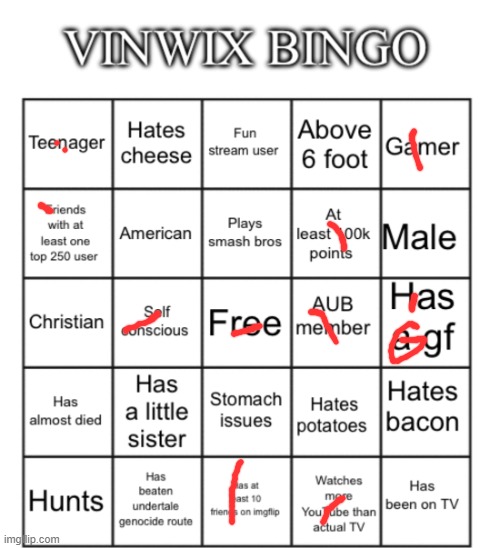VinWix bingo | image tagged in vinwix bingo | made w/ Imgflip meme maker