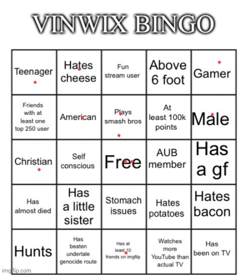 VinWix bingo | image tagged in vinwix bingo | made w/ Imgflip meme maker