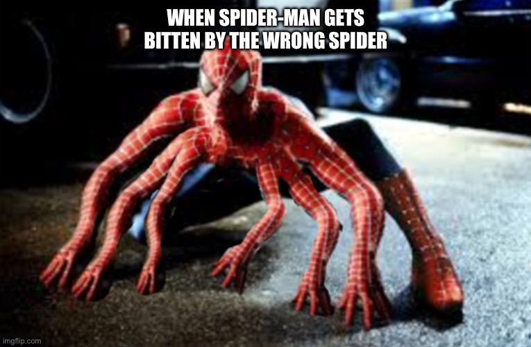 When Spider-Man gets bitten by the wrong spider | When Spider-Man gets bitten by the wrong spider | image tagged in spider-man with 8 limbs | made w/ Imgflip meme maker