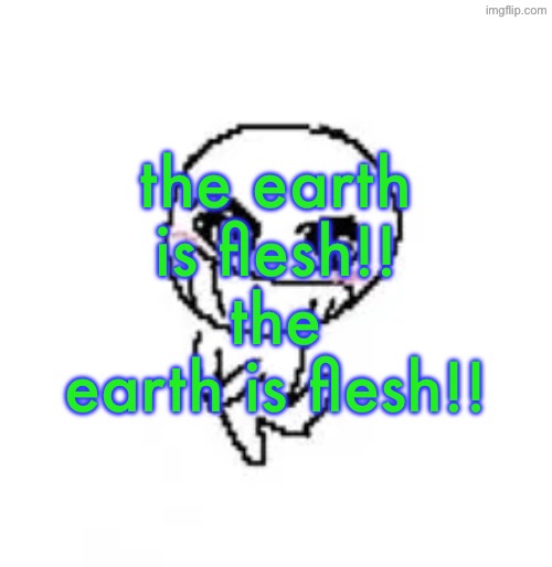 dumb stinky moron | the earth is flesh!! the earth is flesh!! | image tagged in dumb stinky moron | made w/ Imgflip meme maker