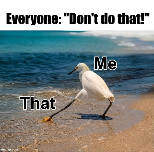 Everyone: "Don't do that!" | Everyone: "Don't do that!" | image tagged in funny,memes,funny memes | made w/ Imgflip meme maker