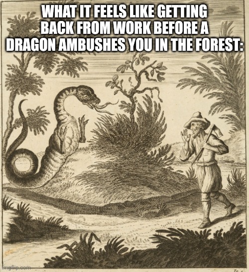 Not so nice surprise: | What it feels like getting back from work before a dragon ambushes you in the forest: | image tagged in funny,funny memes,dragon | made w/ Imgflip meme maker