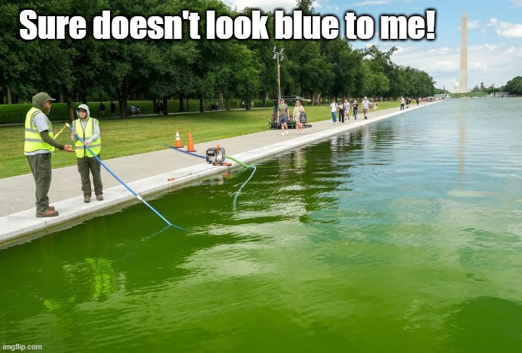 Sure doesn't look blue to me! | made w/ Imgflip meme maker