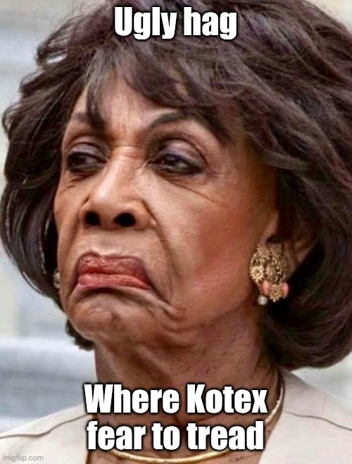 I meant what I said and I mean it | Ugly hag; Where Kotex fear to tread | image tagged in maxine waters,tampon,hell | made w/ Imgflip meme maker