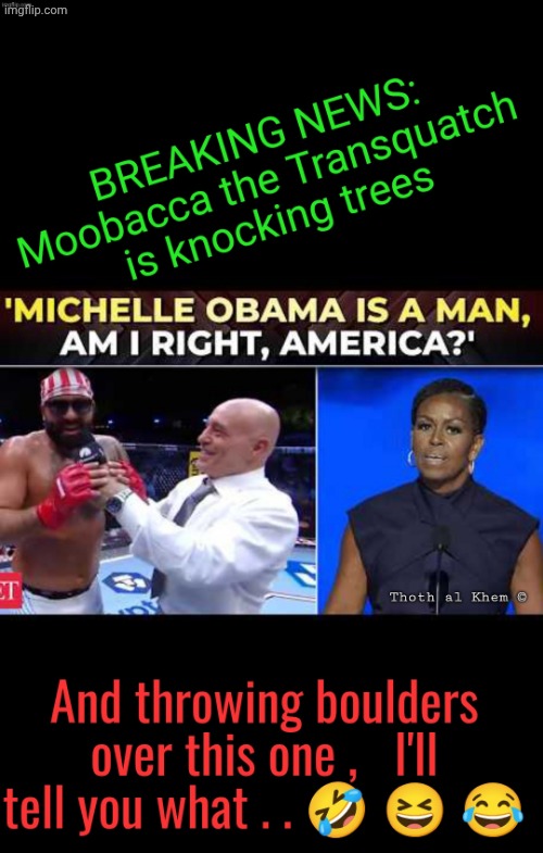 Josh Hokit, Michelle Obama White House fight | image tagged in josh hokit michelle obama,ufc freedom 250,white house fight,media brainwashed humanity,thoth al khem | made w/ Imgflip meme maker