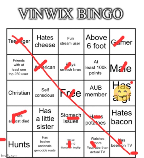 VinWix bingo | image tagged in vinwix bingo | made w/ Imgflip meme maker