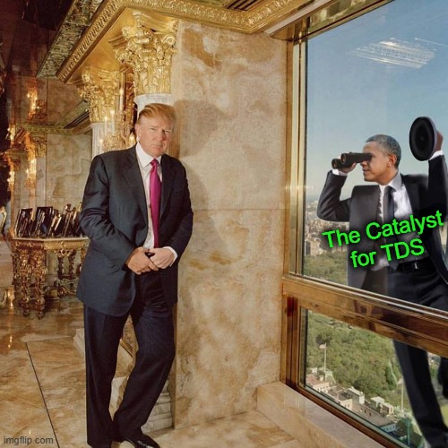 The Catalyst for TDS | made w/ Imgflip meme maker