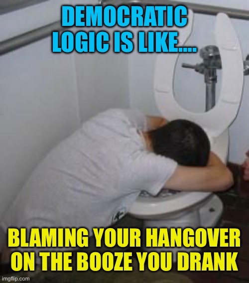 Democratic Logic | image tagged in gifs,democrats,democratic socialism,hypocrites,clueless,incompetence | made w/ Imgflip meme maker