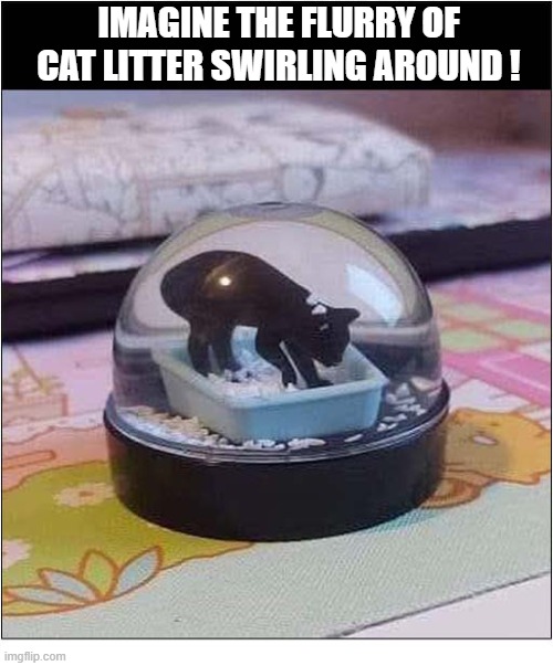 The Perfect Snow Globe Does Exist ! | imagine the flurry of cat litter swirling around ! | image tagged in cats,snow globe,litter box | made w/ Imgflip meme maker