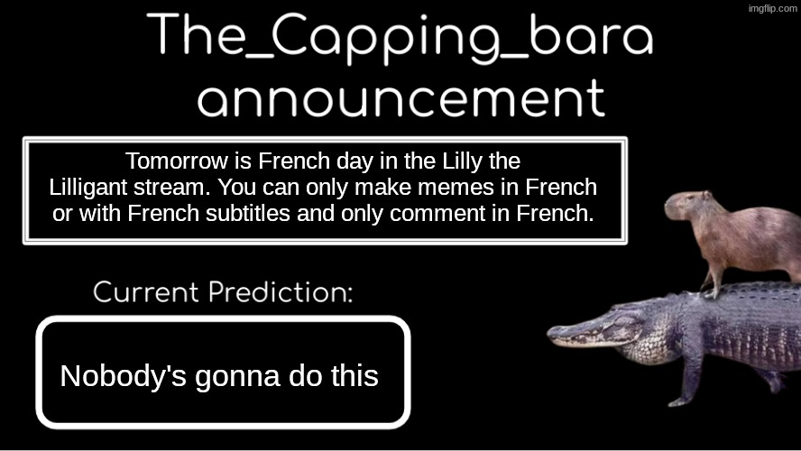 FRENCH BAGUETTE OUI OUI | Tomorrow is French day in the Lilly the Lilligant stream. You can only make memes in French or with French subtitles and only comment in French. Nobody's gonna do this | image tagged in french,memes | made w/ Imgflip meme maker