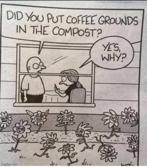 Talk about “hype”iscus | image tagged in comics,flowers,coffee grounds,hyper | made w/ Imgflip meme maker