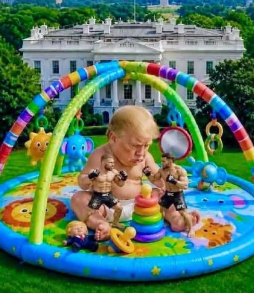 Trump's UFC cage fight, Making America Goo-goo gah-gah Again. Blank Meme Template