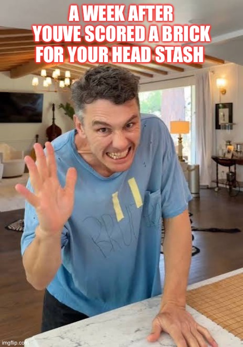 IMG_0050.jpeg | a week after youve scored a brick for your head stash | image tagged in funny,funny memes,celebrity,hollywood,so true memes,cancelled | made w/ Imgflip meme maker