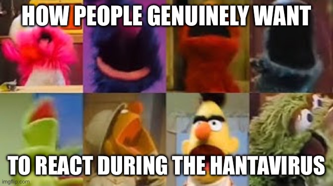 “WHY IS SCHOOL CLOSED AAAAAAAAA” - the wannabe extroverts | HOW PEOPLE GENUINELY WANT; TO REACT DURING THE HANTAVIRUS | image tagged in sesame street scream,hantavirus,true,reaction | made w/ Imgflip meme maker
