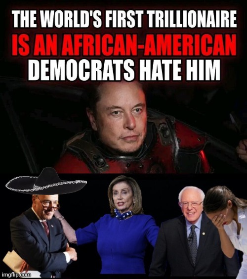 The African-American Demorhhoids hate | image tagged in img 9 jpeg,democrat senators,elon musk | made w/ Imgflip meme maker