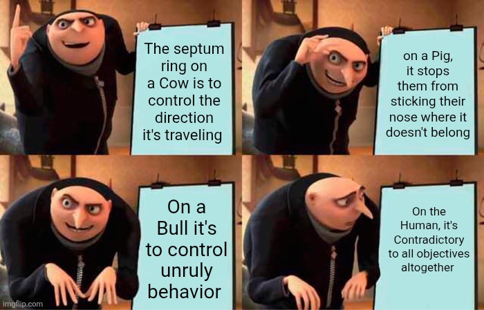 Septum theory | The septum ring on a Cow is to control the direction it's traveling; on a Pig, it stops them from sticking their nose where it doesn't belong; On the Human, it's Contradictory to all objectives altogether; On a Bull it's to control unruly behavior | image tagged in memes,gru's plan | made w/ Imgflip meme maker