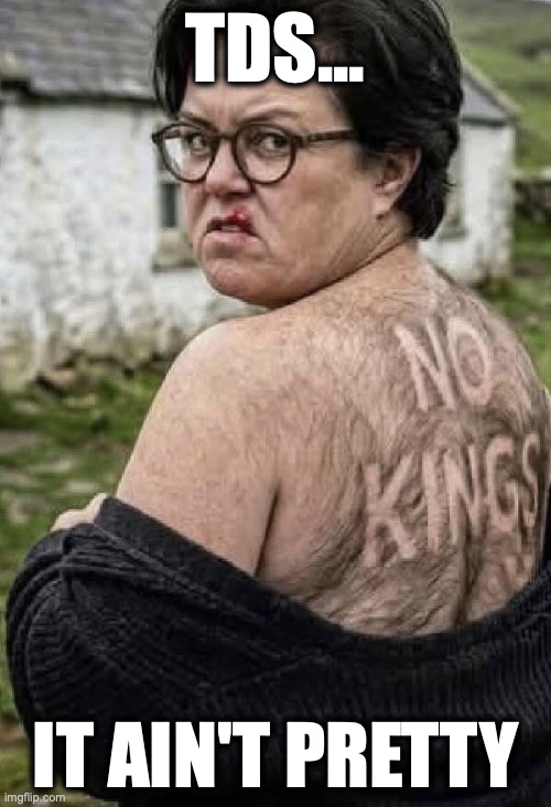 Rosie's TDS | tds... it ain't pretty | image tagged in image 166 jpeg | made w/ Imgflip meme maker