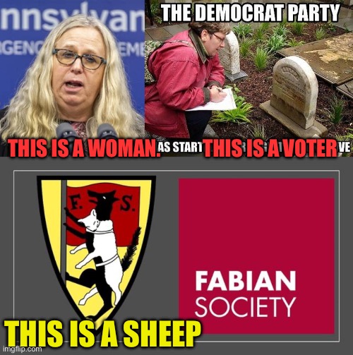 Democrat misdirection | This is a woman.           This is a voter; This is a sheep | image tagged in gifs,democrats,democratic socialism,fake | made w/ Imgflip meme maker
