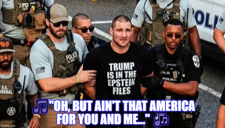 RULES FOR ZEE... | 🎵"Oh, but ain't that America
For you and me..." 🎶 | image tagged in politics,nwo,police state,israel jews,propaganda,ufc | made w/ Imgflip meme maker