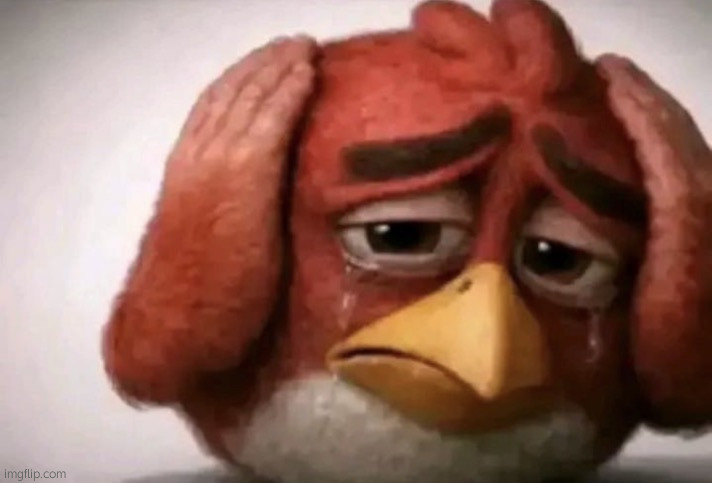 Angry Bird Covering Ears | image tagged in dd | made w/ Imgflip meme maker