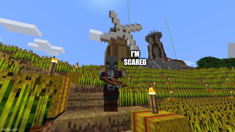Pillager | I'm scared | image tagged in pillager | made w/ Imgflip meme maker
