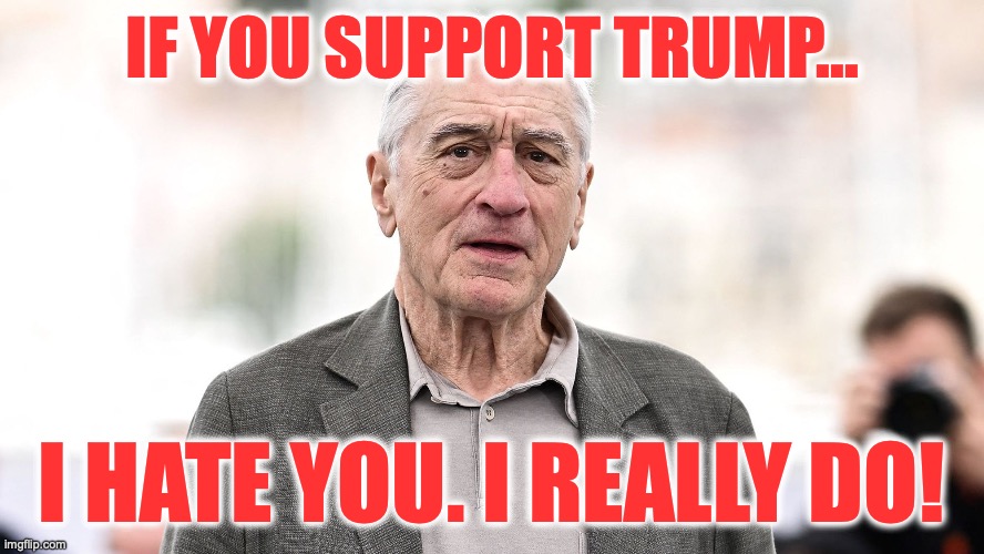 DeNiro TDS | If you support trump... I hate you. I really do! | image tagged in image 132 jpeg | made w/ Imgflip meme maker