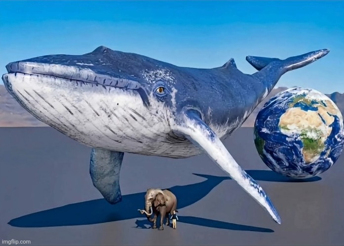 size of a blue whale (elephant, human, and earth for scale) | made w/ Imgflip meme maker