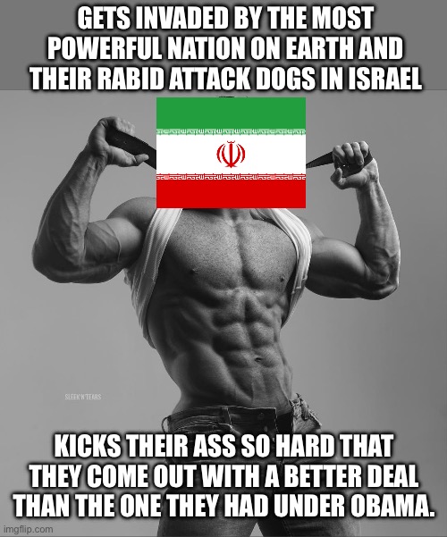 Art of the Deal | Gets invaded by the most powerful nation on Earth and their rabid attack dogs in Israel; Kicks their ass so hard that they come out with a better deal than the one they had under Obama. | image tagged in elaborate,iran,donald trump | made w/ Imgflip meme maker