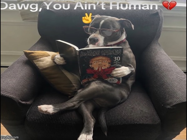 image tagged in memes,msmg | made w/ Imgflip meme maker