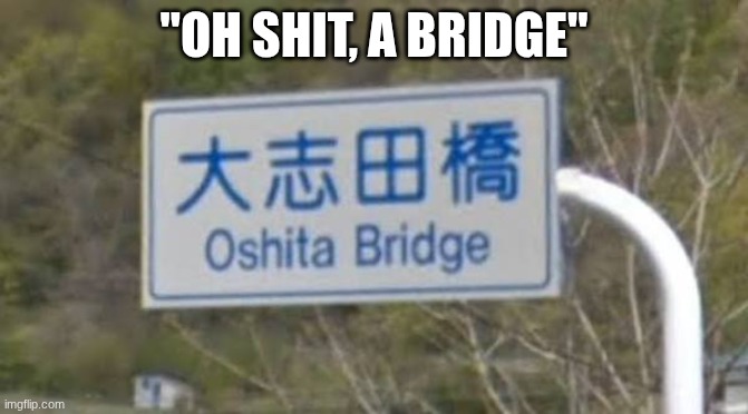 oh shit a bridge | "oh shit, a bridge" | image tagged in images - 2026-06-16t144933 896 jpeg | made w/ Imgflip meme maker
