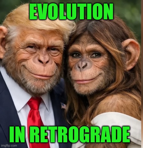 IMG_9561.jpeg | Evolution; In retrograde | image tagged in img_9561 jpeg | made w/ Imgflip meme maker