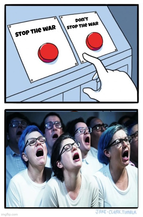 Make Up Your Tiny Minds ! | Don't stop the war; Stop the war | image tagged in memes,two buttons,liberal hypocrisy,spoiled brats,crying is easy,democrats democratting | made w/ Imgflip meme maker