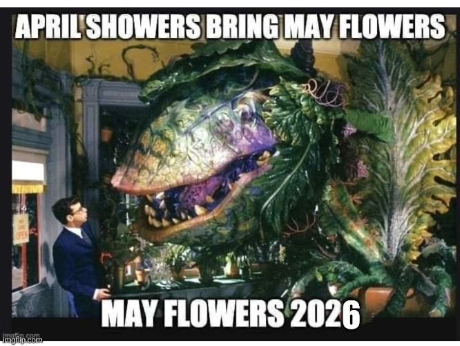 Mayflower | 6 | image tagged in img_20260616_211340 jpg | made w/ Imgflip meme maker