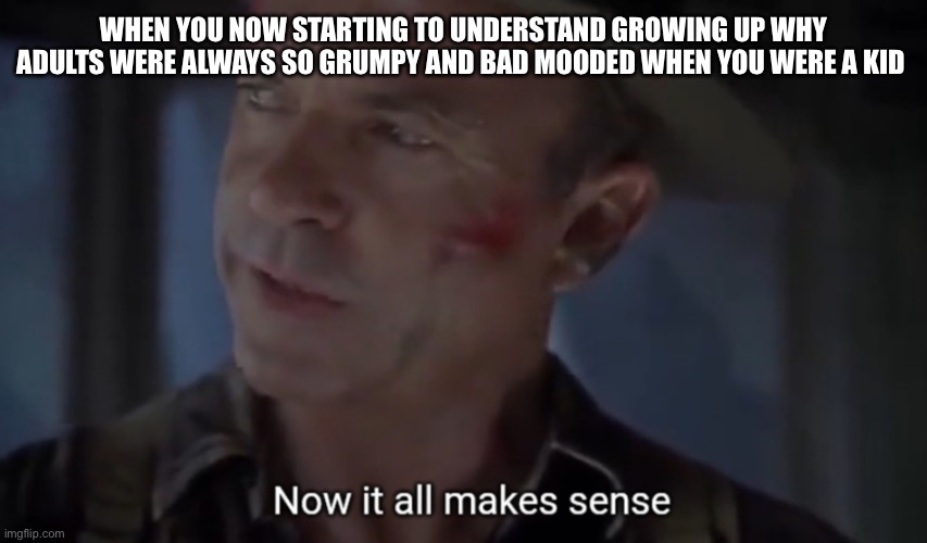 Now it all makes sense | When you now starting to understand growing up why adults were always so grumpy and bad mooded when you were a kid | image tagged in now it all makes sense | made w/ Imgflip meme maker