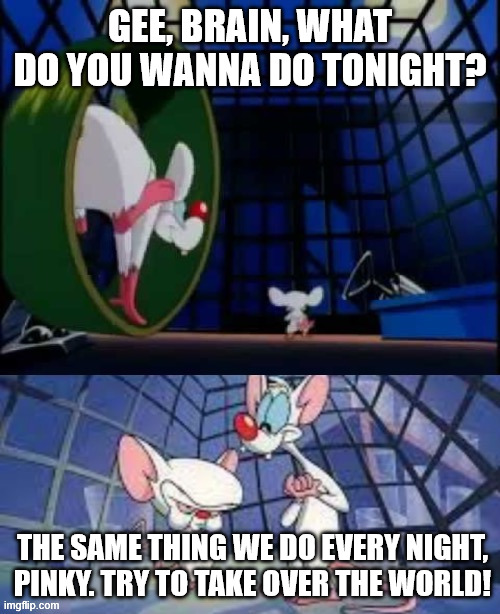 Pinky and The Brain: what do you wanna do tonight Blank Meme Template