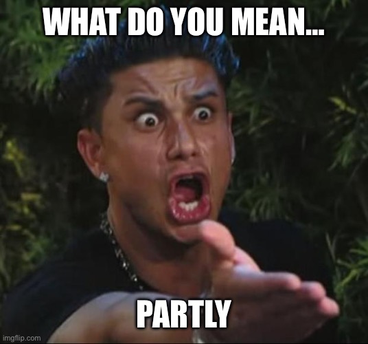 What do you mean… Partly | image tagged in memes,dj pauly d | made w/ Imgflip meme maker