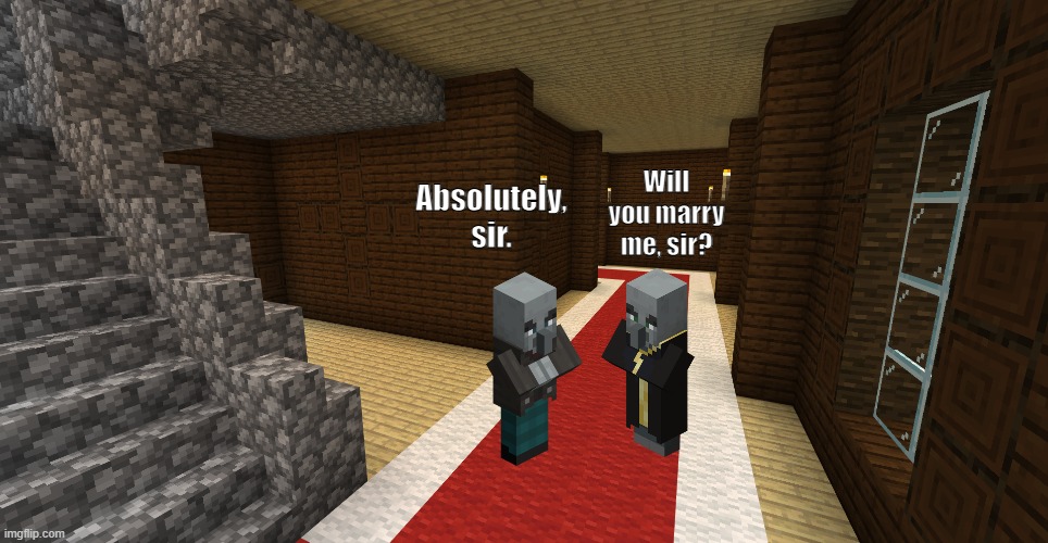 An evoker and a vindicator were gay for each other and proposed | Absolutely, sir. Will you marry me, sir? | image tagged in minecraft woodland mansion | made w/ Imgflip meme maker