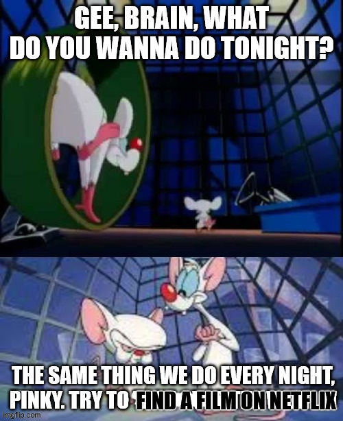 Me every night searching a good film... | find a film on netflix | image tagged in pinky and the brain what do you wanna do tonight | made w/ Imgflip meme maker