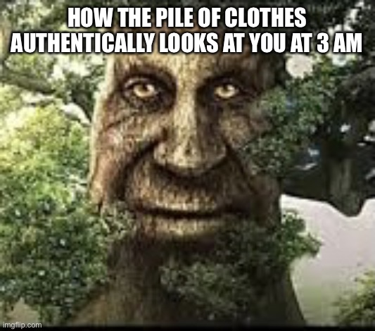 everything is evil when it's dark out i swear | how the pile of clothes authentically looks at you at 3 am | image tagged in wise mytical tree,funny,meme,tree | made w/ Imgflip meme maker