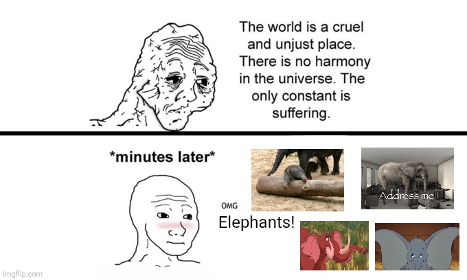 Another Elephant Meme | Elephants! | image tagged in the world is a cruel and unjust place,elephant,elephants,dumbo | made w/ Imgflip meme maker