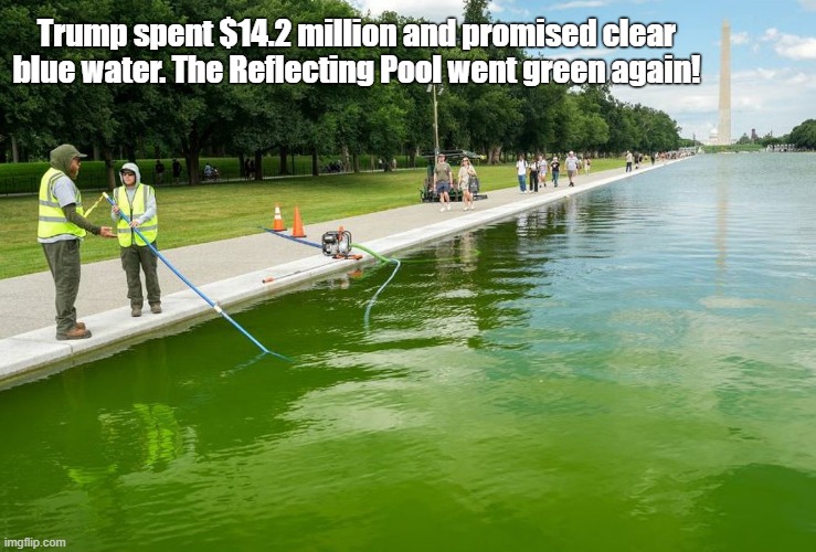 Suppose we inject a tremendous amount of bleach. It'll knock out the green in a minute! | Trump spent $14.2 million and promised clear blue water. The Reflecting Pool went green again! | image tagged in donald trump,reflecting pool,green,algae,bleach | made w/ Imgflip meme maker