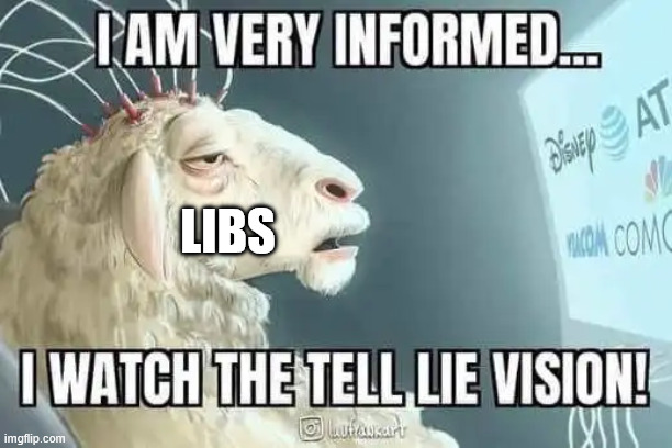 libs | made w/ Imgflip meme maker