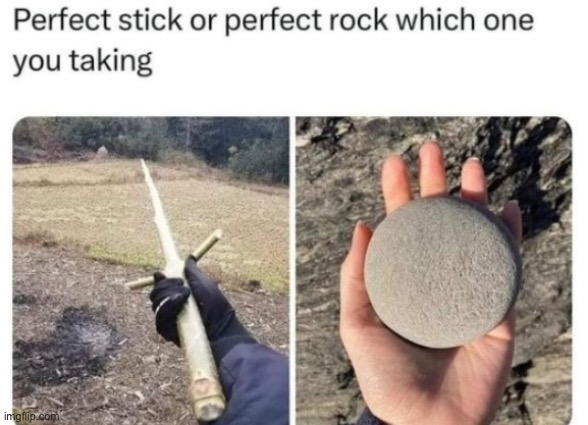 image tagged in msmg,stick,rock | made w/ Imgflip meme maker